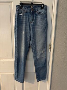 BDG Women's Mom High-Rise Distressed Denim Jeans 5-Pocket Button Zipper Sz 29